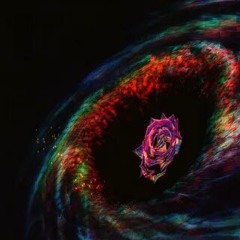 ROSE IN THE BLACK HOLE