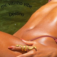 MC VITINHO VIBE -  DESTINO