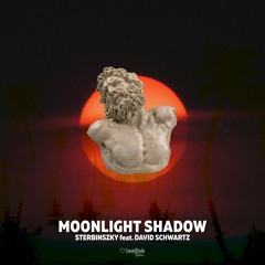 Sterbinszky feat. David Schwartz - Moonlight Shadow