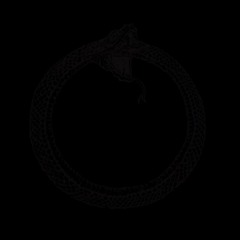 Verse 16 (Samsara) (55)