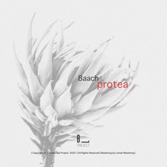 Baach | Protea EP