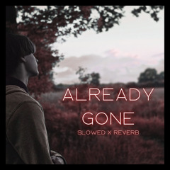 Already Gone (Slowed x Reverb)