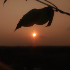 Dramatic Slow Running Sequence