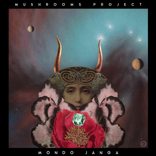PREMIERE | Mushrooms Project -Mondo Janga [Random Collective ] 2022