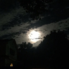 I walk alone for you