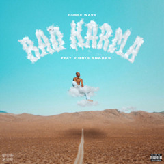 Bad Karma (feat. Chris Snakes).mp3