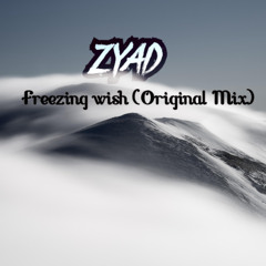 Freezing wish (Original Mix)