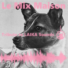 LAIKA Sounds-LMM-Xavalex-2024-10-09