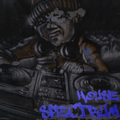 House Spectrum 025