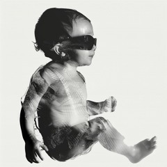 xraybaby records - Dream is Destiny [Book 1]