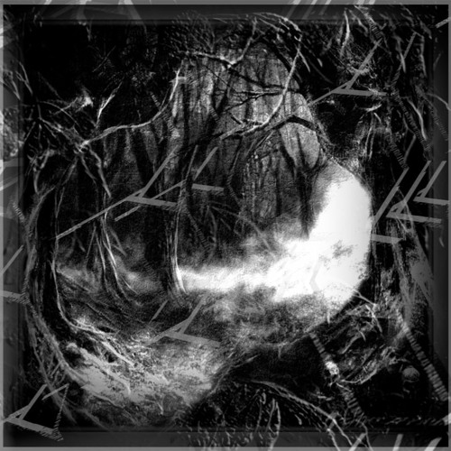 SUNKEN FOREST
