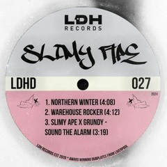 Slimy Ape - Northern Winter [Forthcoming LDH Records 12/4/24]