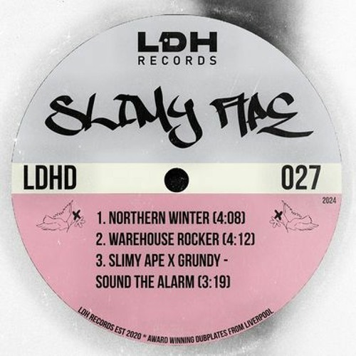 Northern Winter [Forthcoming LDH Records 12/4/24]