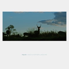 Polar M / MUSIC for NORTHERN LANDSCAPE [Album Sampler]