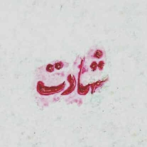 في درب فاطمة | حسين خيرالدين