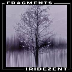 Fragments