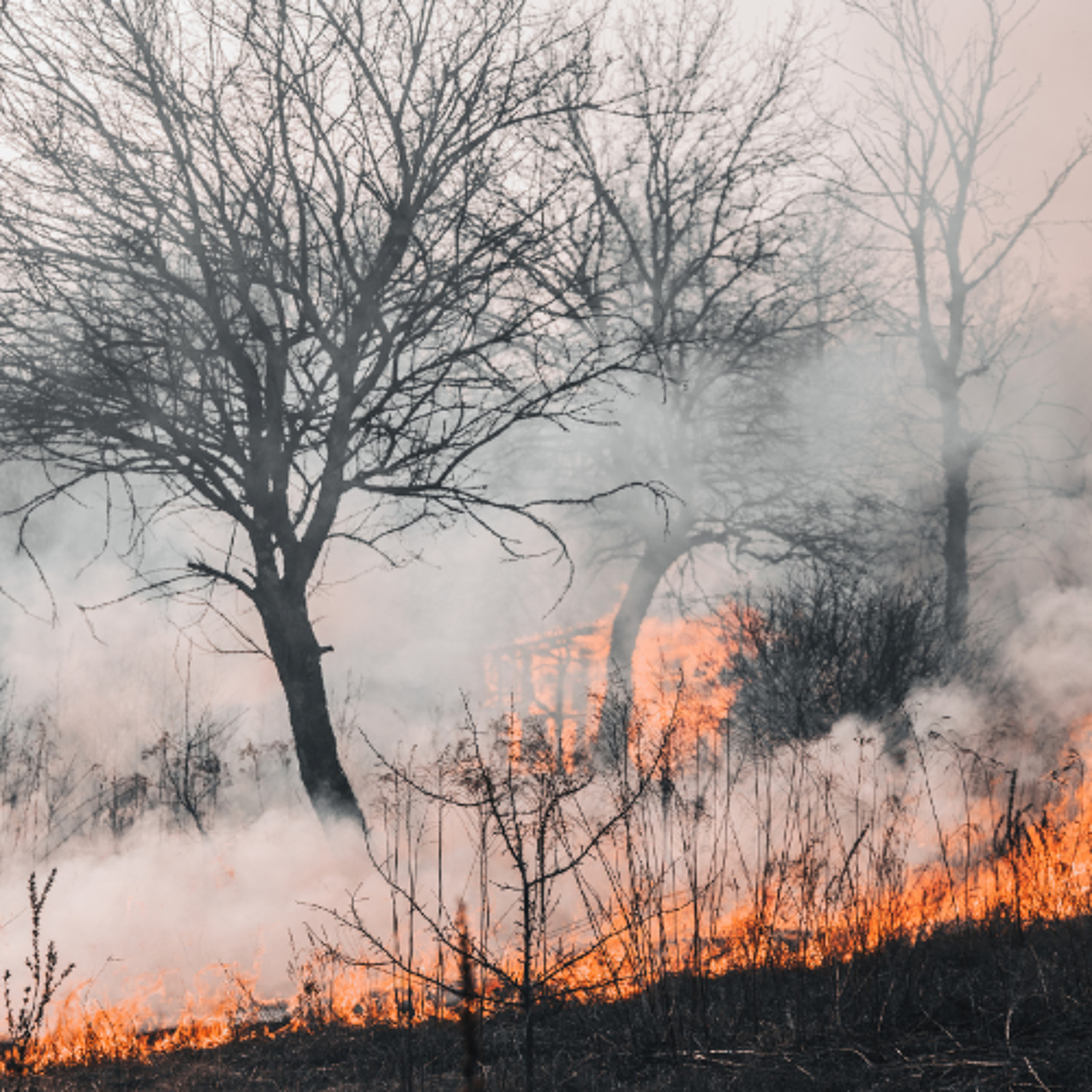Warning Issued As Irish Wildfire Season Gets Underway