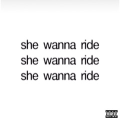 she wanna ride (prod. Rio Leyva, PopulationZero) [UNRELEASED]