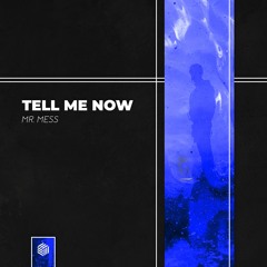 Mr. Mess - Tell Me Now
