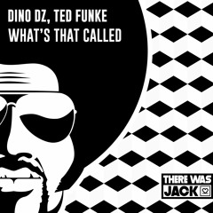 Dino DZ, Ted Funke - What's That Called (Radio Edit) [There Was Jack]