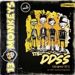 DDSS - Soulmates (Original Mix)