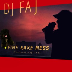 FINE RARE MESS - DJ FAJ