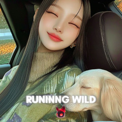 Running Wild (Slowed) - Jin