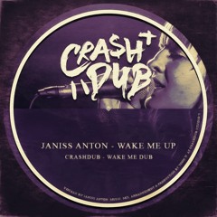 Wake Me Up (Feat. Janiss Anton)