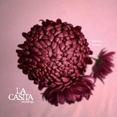 PREMIERE: Chichöl - Fields [LACAS002]