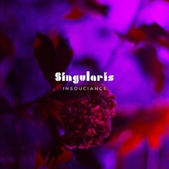 Singularis - Out
