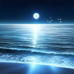 泡より儚く、理想より深く