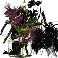 Nymph Garden : Bloom Edition live performance Paris XI