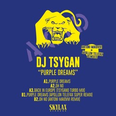PREMIERE: Dj Tsygan - Purple Dreams [Skylax Records]