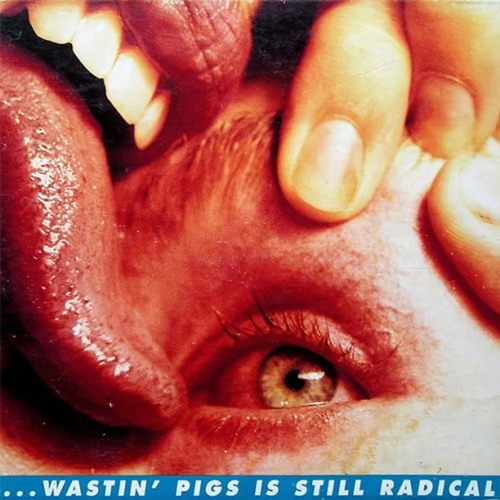 Wastin' Pigs