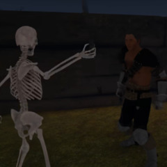 Skeletery