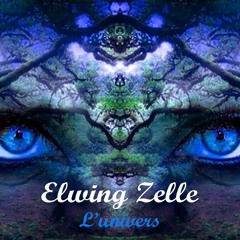 L'Univers