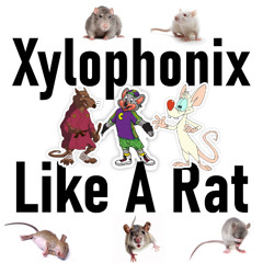 Like A Rat
