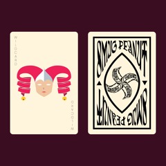 KIRA - WILDCARD ft. Teto (Smug Peanut UKG Edit)