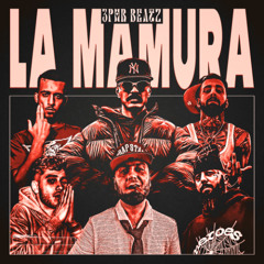 LA MAMURA - Ali Geramy x Hiphopologist x Vinak x Big Shaggy x Matin Fattahi