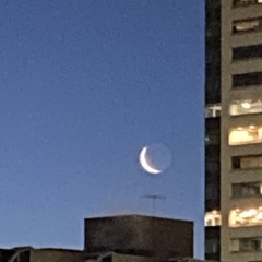 somnio by verticalpark