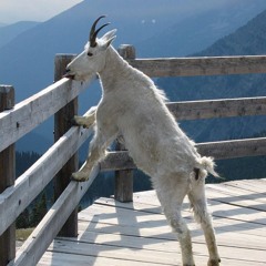 Improsivieren (4.11.24)