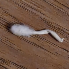 love song for colton james and reid