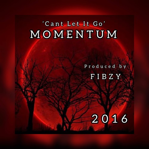 MOMENTUM *CANT LET IT GO* (produced by FIBZY)