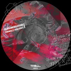 HumanDisuman - Need Of The Storm (Original Mix) VBR076