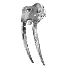 Grime: Instrumentals - part 2