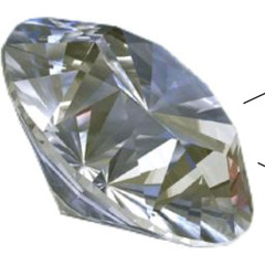 кшиштофзанусси