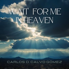 Wait for me in Heaven