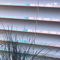 Objects in Motion
