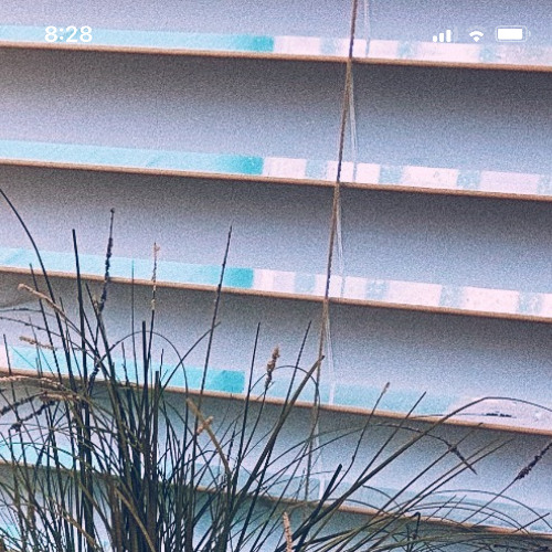 Objects in Motion