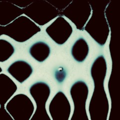 Stellar (vocal extract)